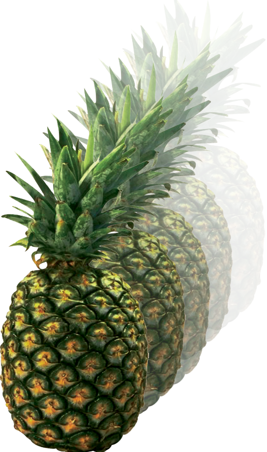 pineapple blur